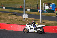 Lower Group White Bikes